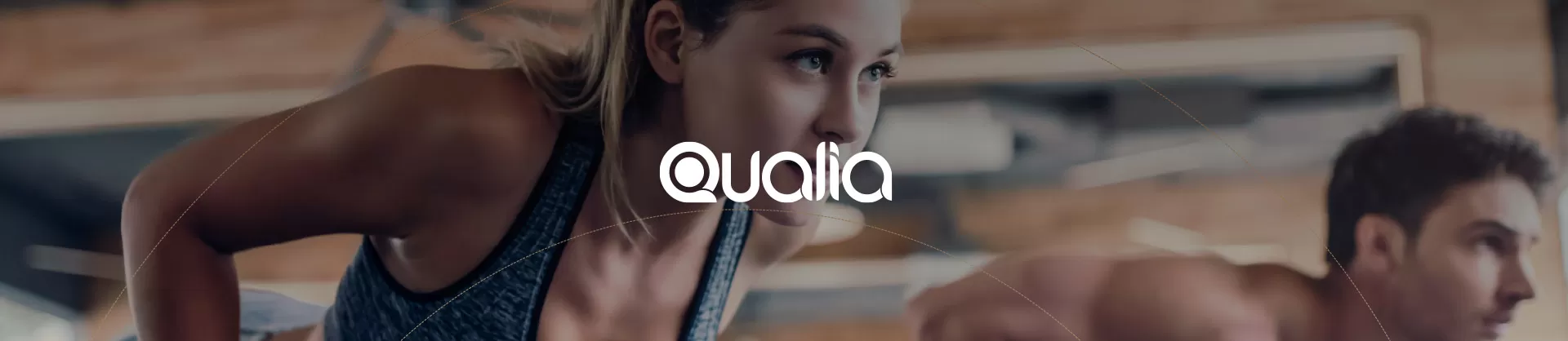 Qualia referansı